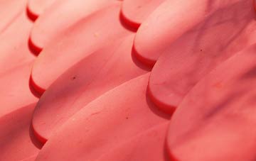 Balchraggan plastic roof costs